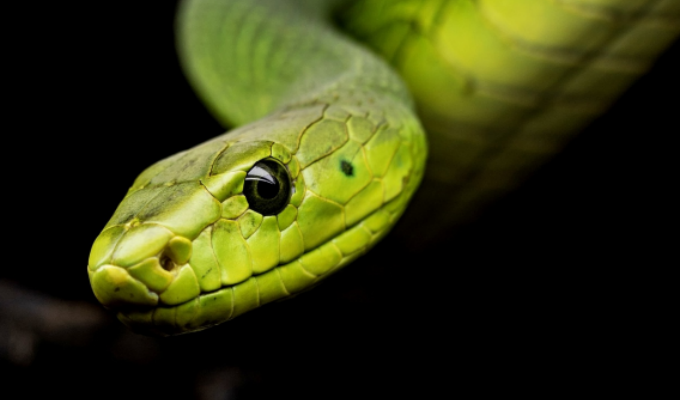 1965属蛇最难熬年龄是多少岁绿松石的灾难年龄