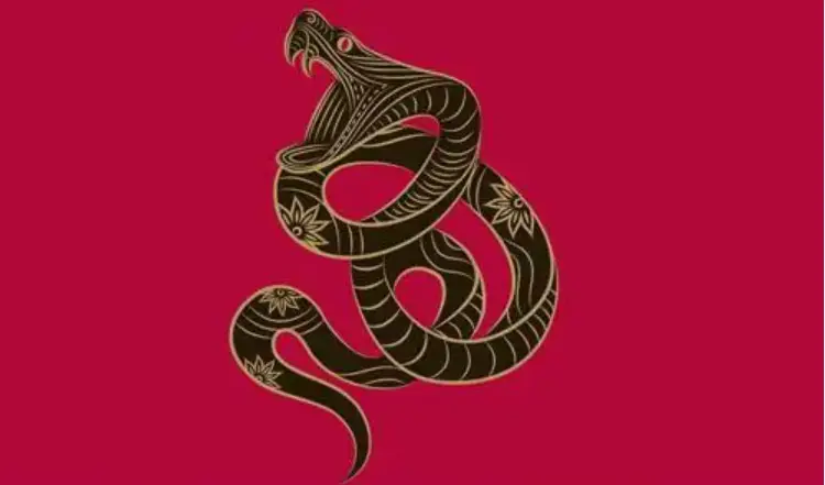 蛇是一种幸运的象征，你知道吗？蛇的形象寓意